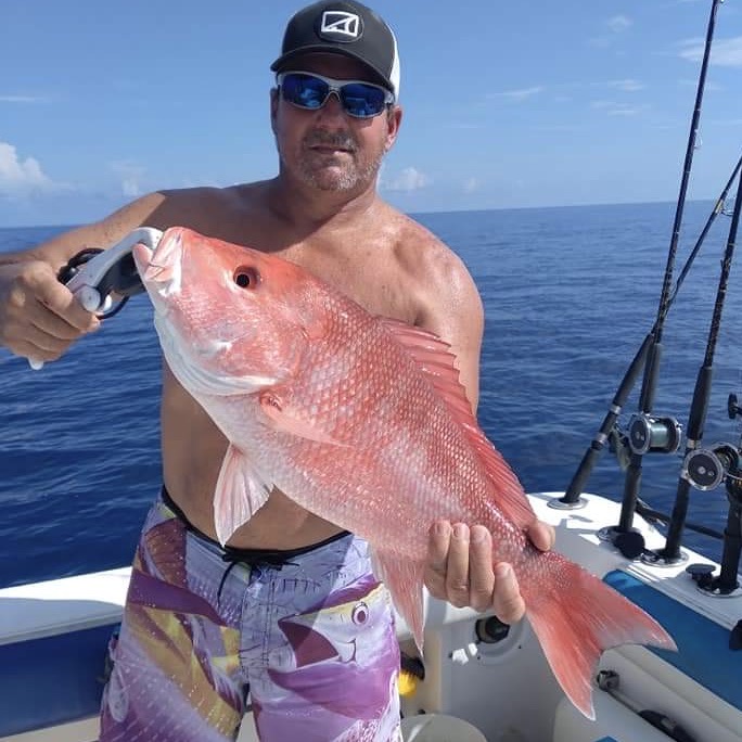 Deep Sea Fishing Clearwater: Fishing the Suncoast