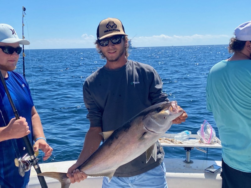 Orange Beach Amberjack