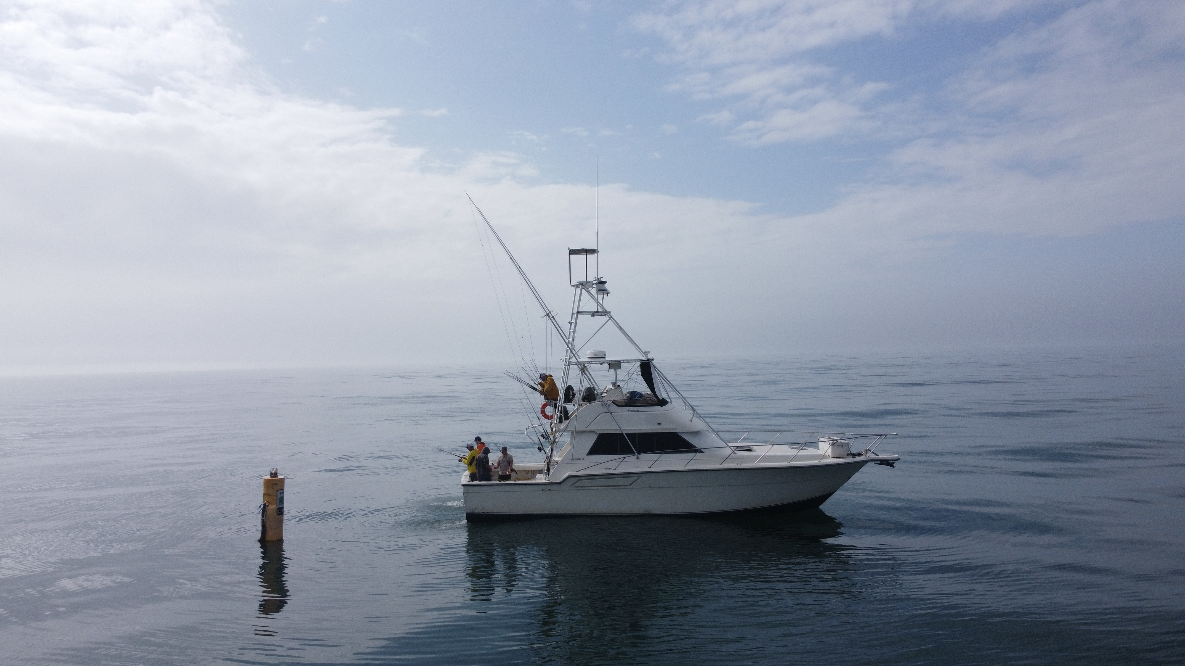 Sport Fisher