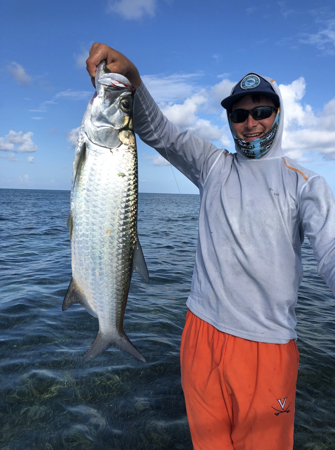 Tarpon