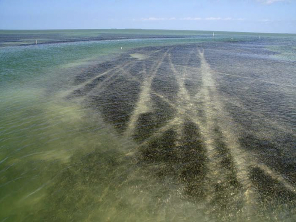 Florida Keys