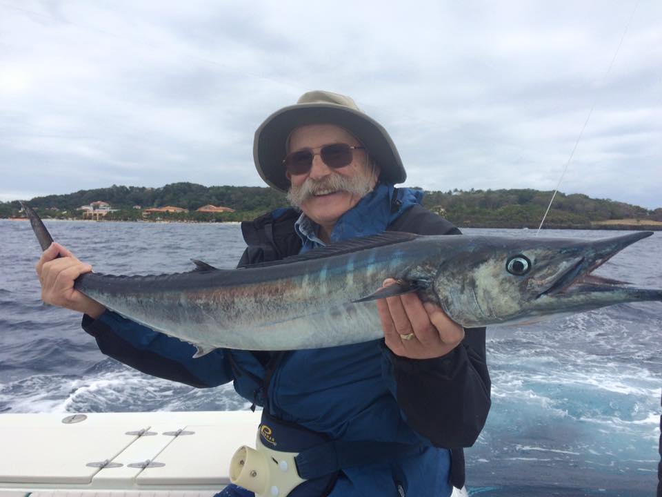 Pelagic Fish