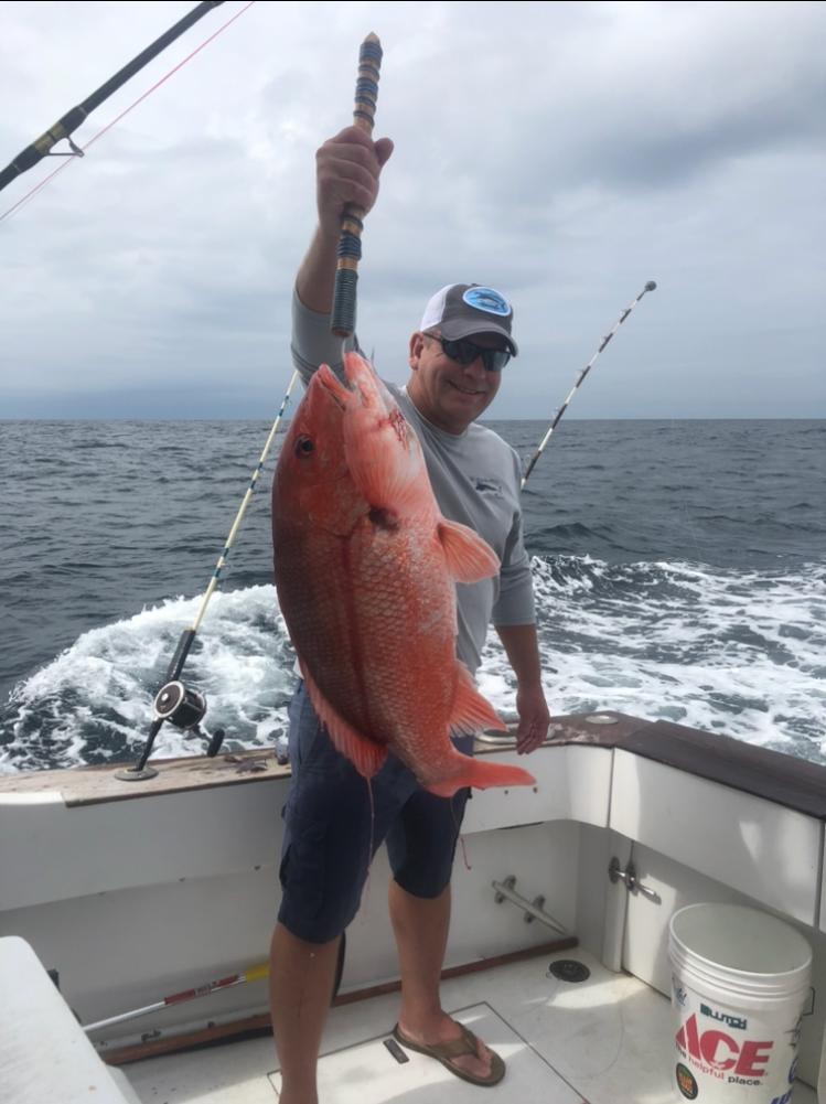 red-snapper