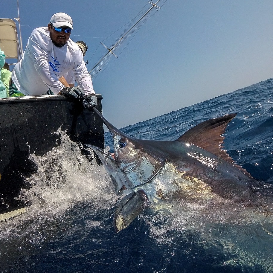 How Far Offshore are the Big Fish?
