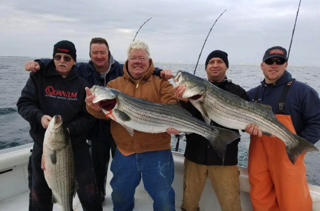 New Jersey Striper