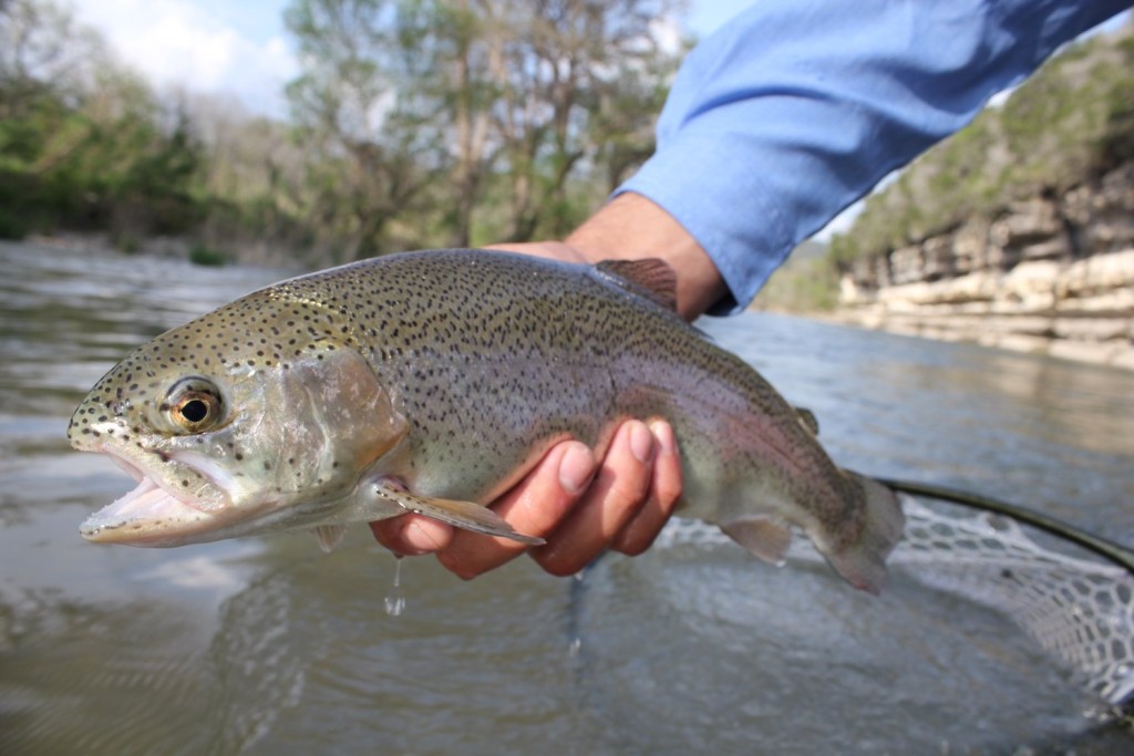 Trout Fishing In Texas