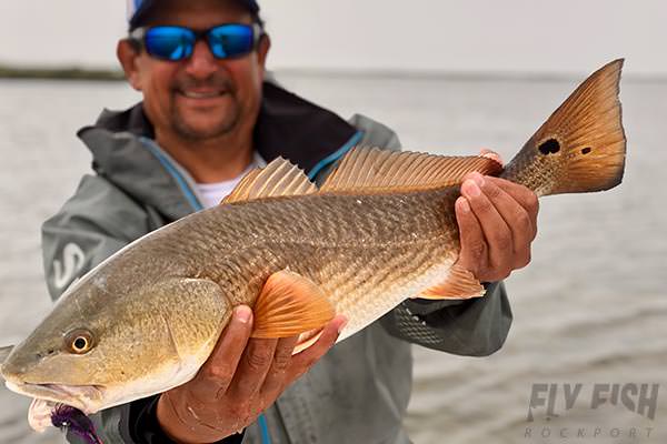 Captain's Log Vol. 1: Fly Fishing Rockport, Galveston Bay and Tulum