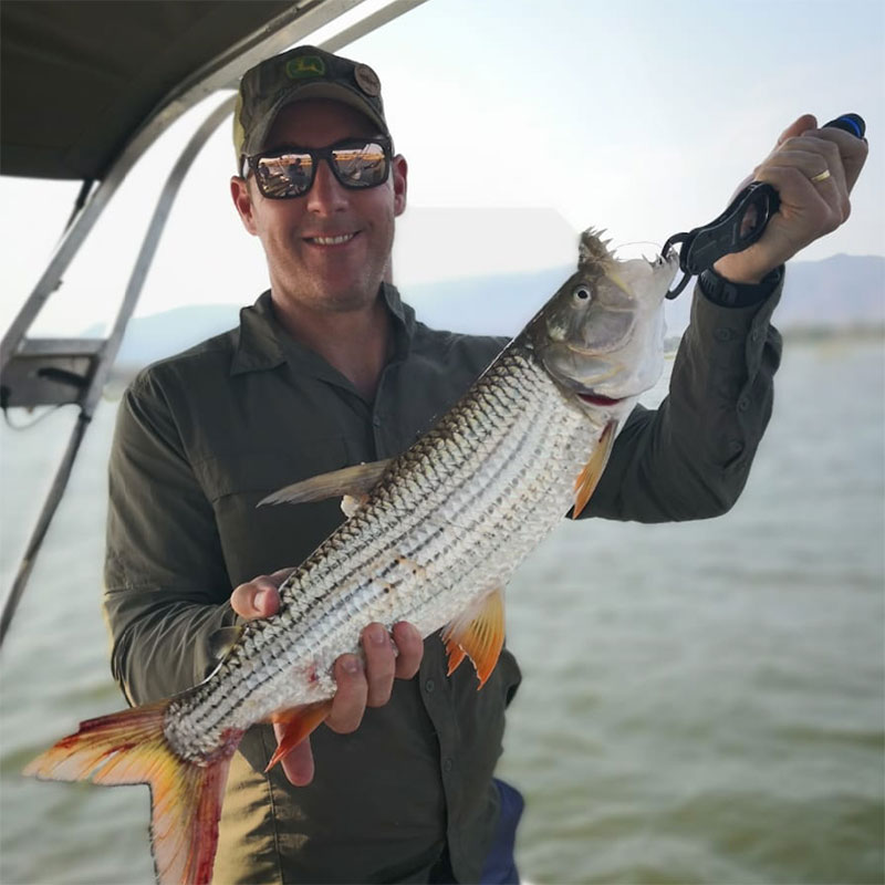 Tigerfish