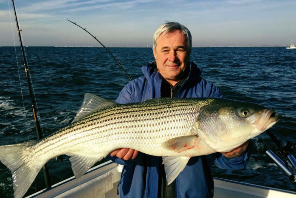 New Jersey Striper