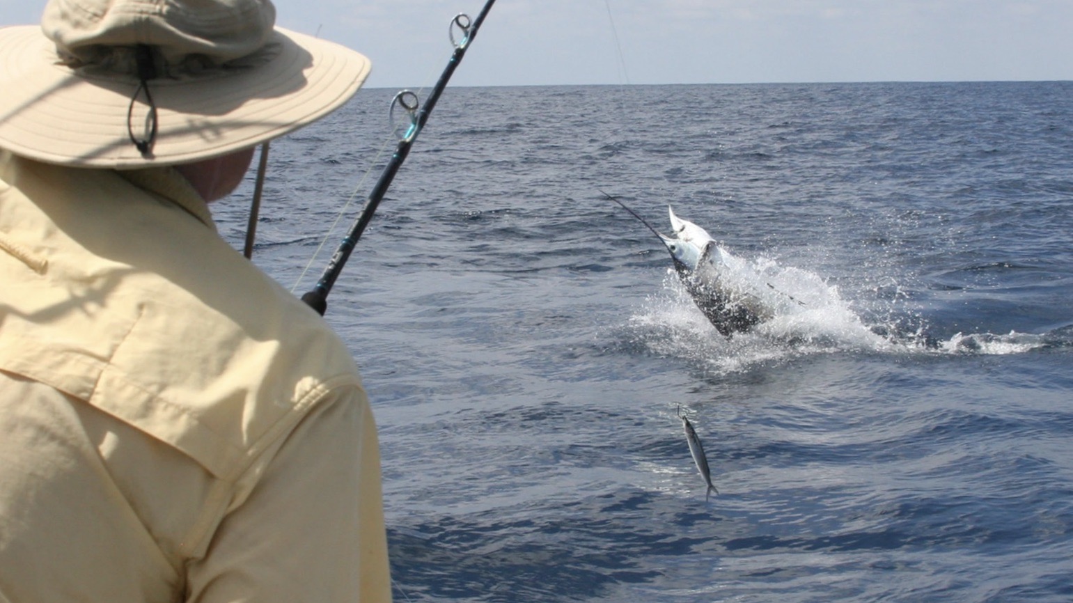 Deep Sea Fishing