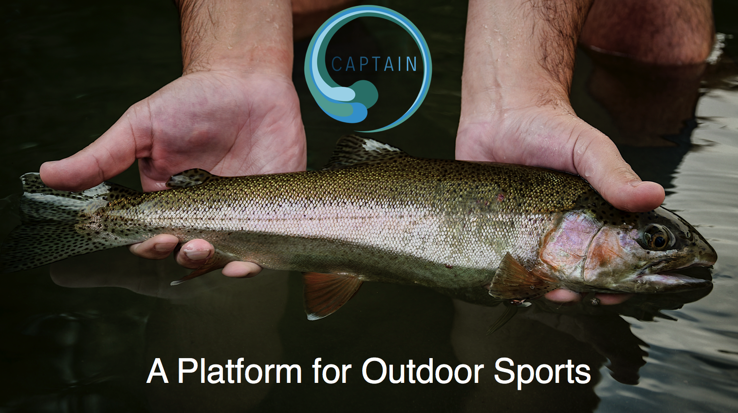 Rainbow Trout