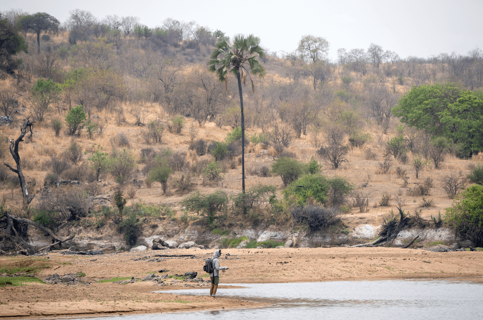 fly fishing for tigerfish