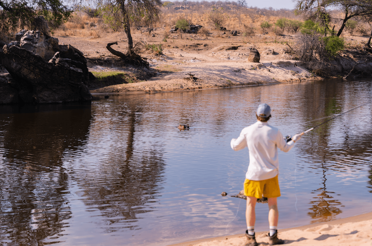 Casting over hippos