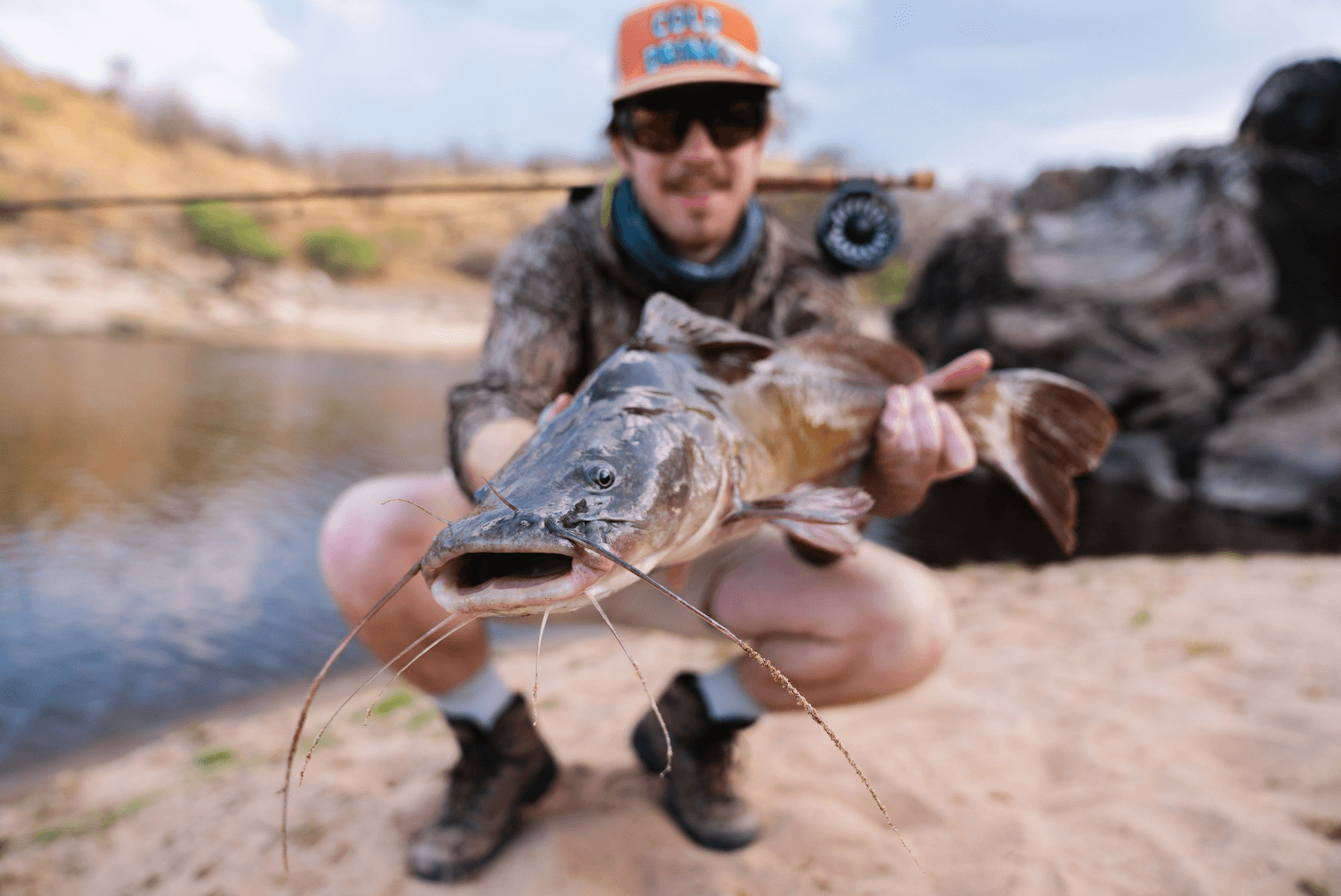 Catfish on fly