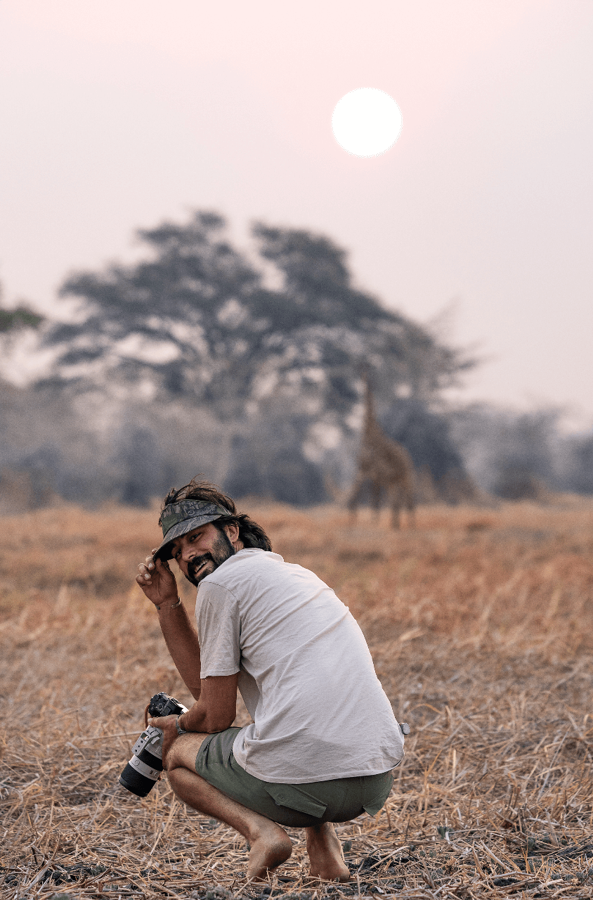 Taking photos of a giraffe