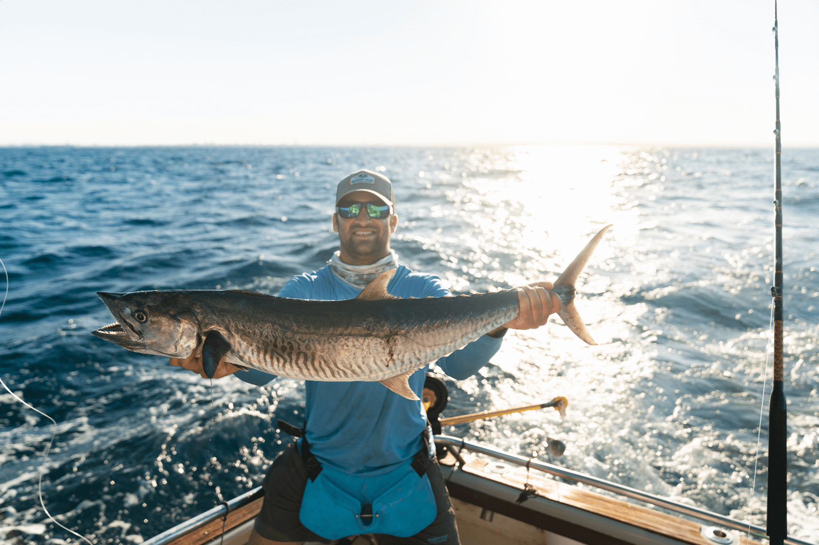 Narrow banded mackerel in tanzania