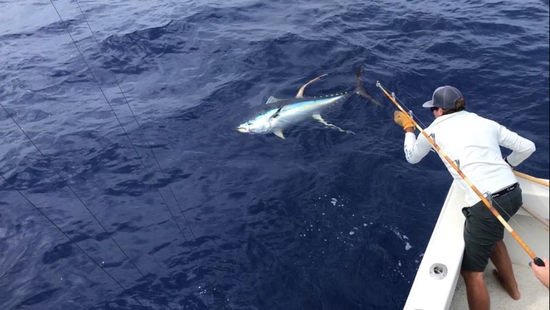 Big Tuna At the Boat