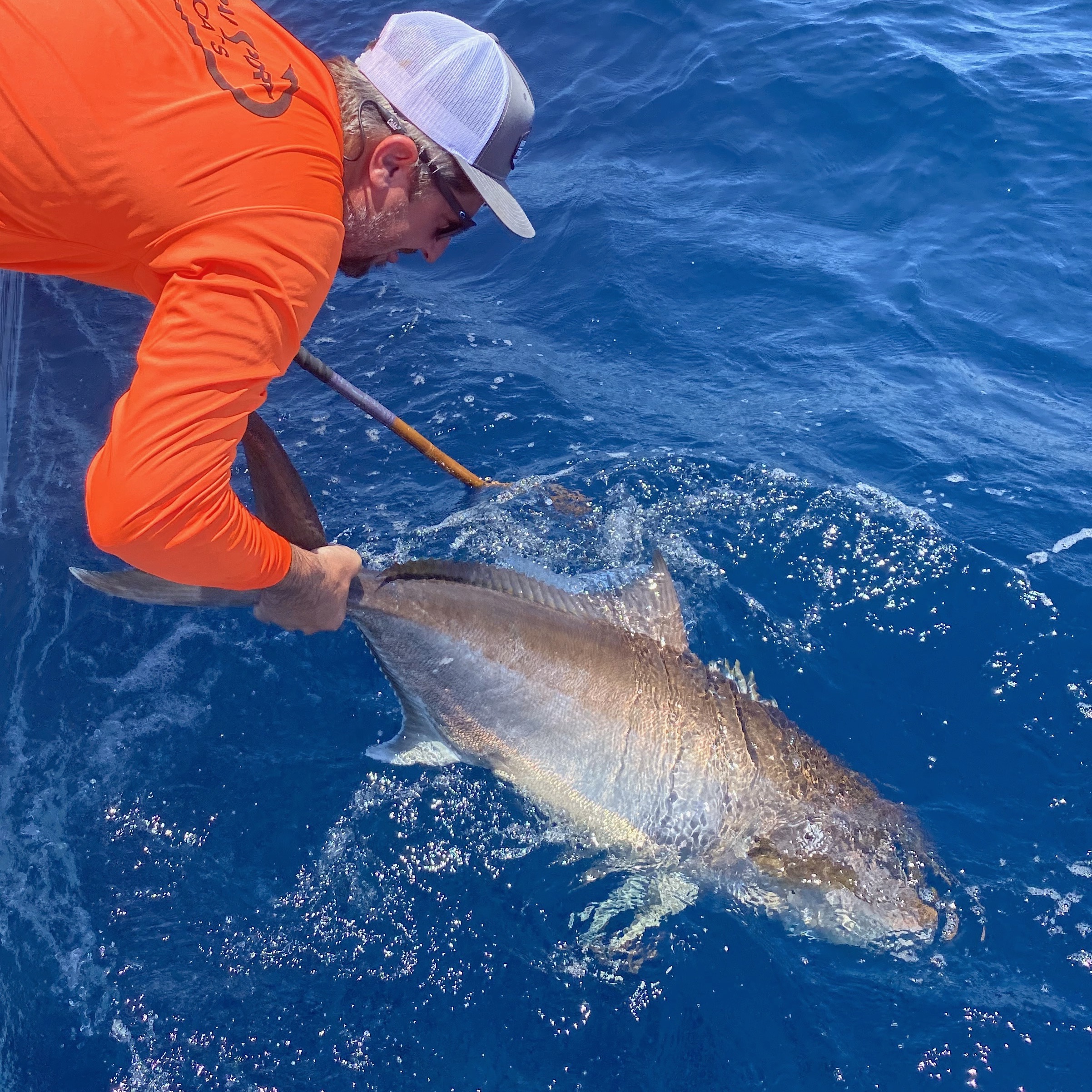 Catch and Release Fishing