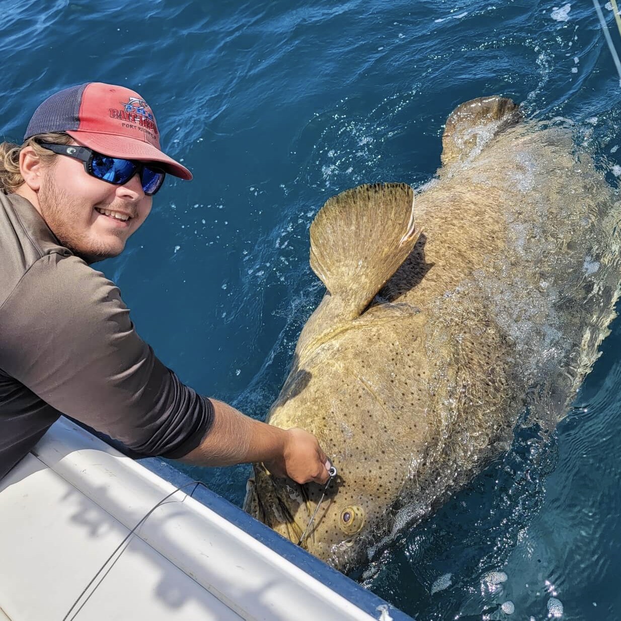 Everything You Need to Know About Goliath Grouper