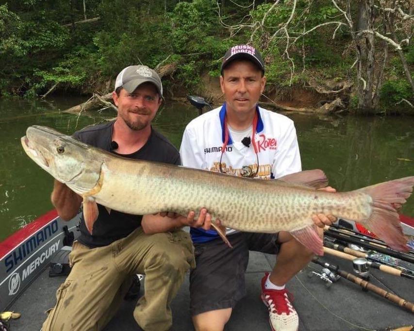 Giant Muskie