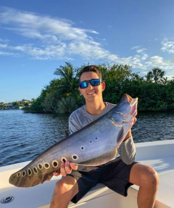 Florida peacock bass