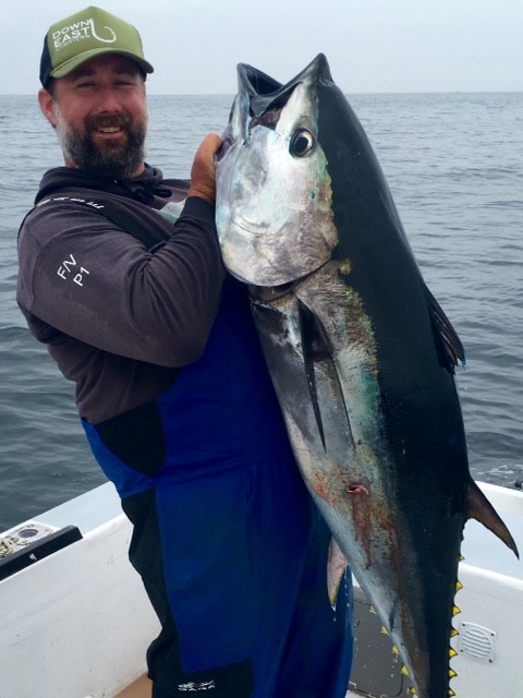 cape cod fishing charters