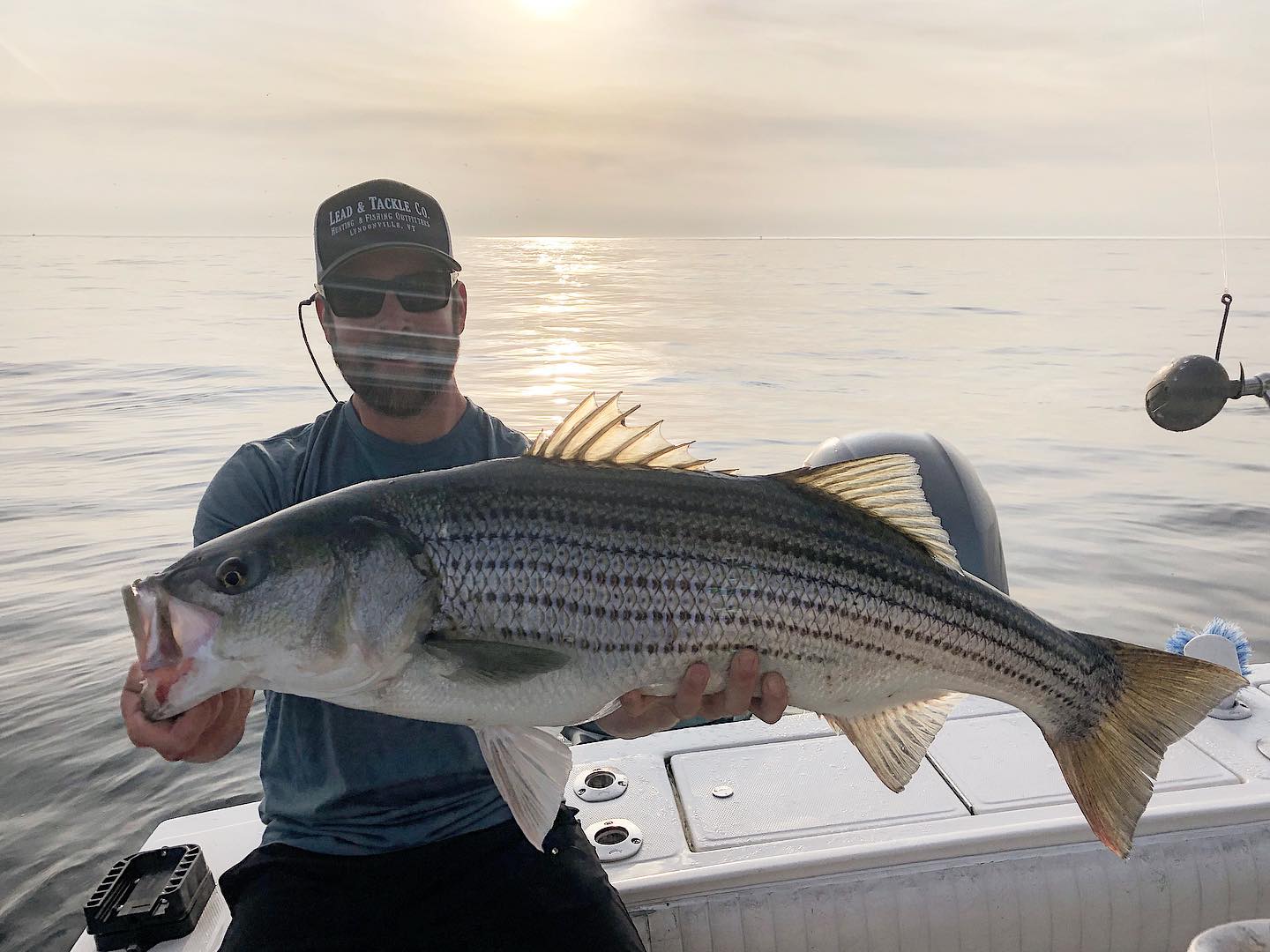cape cod fishing trips
