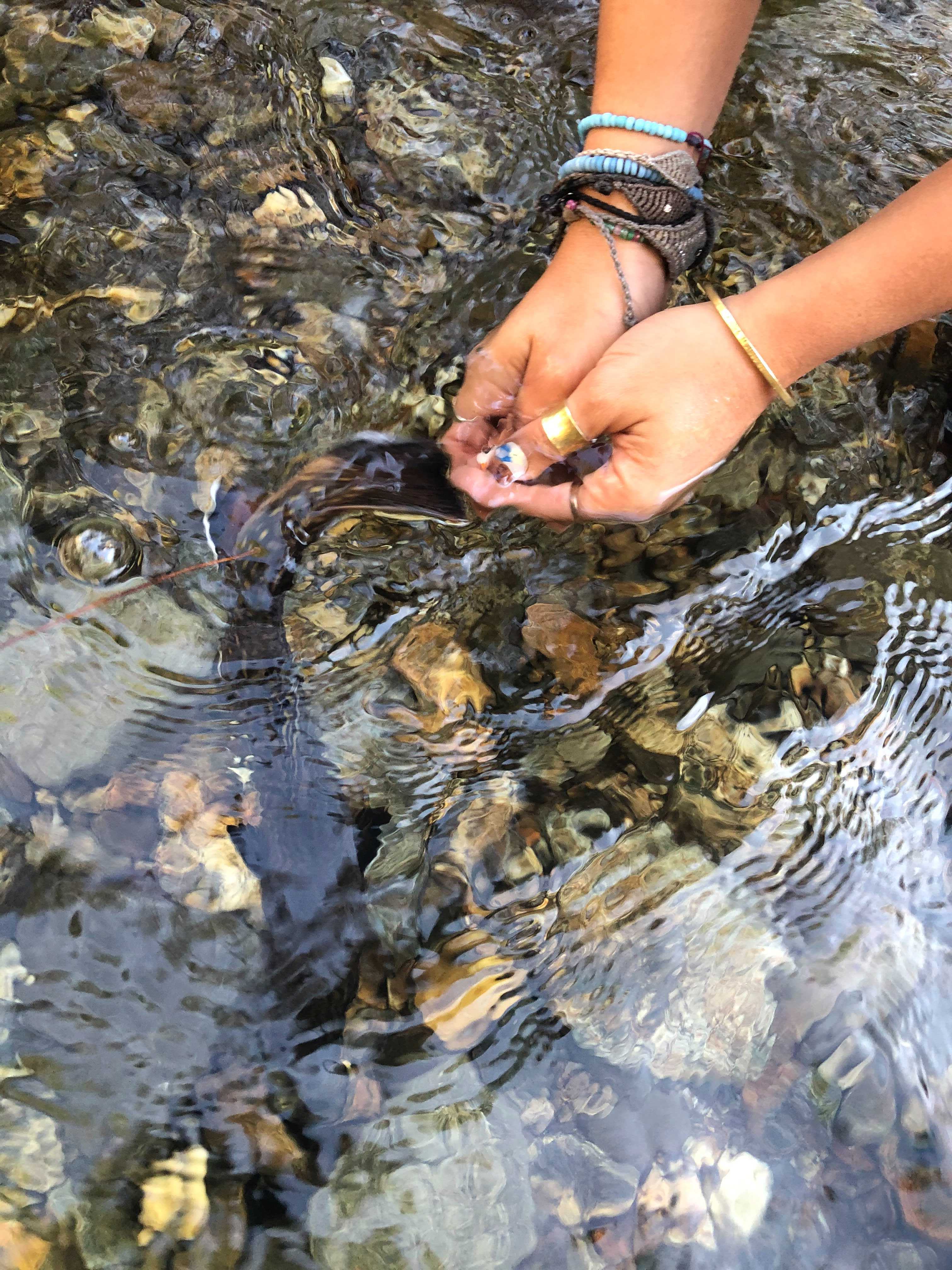 catch and release