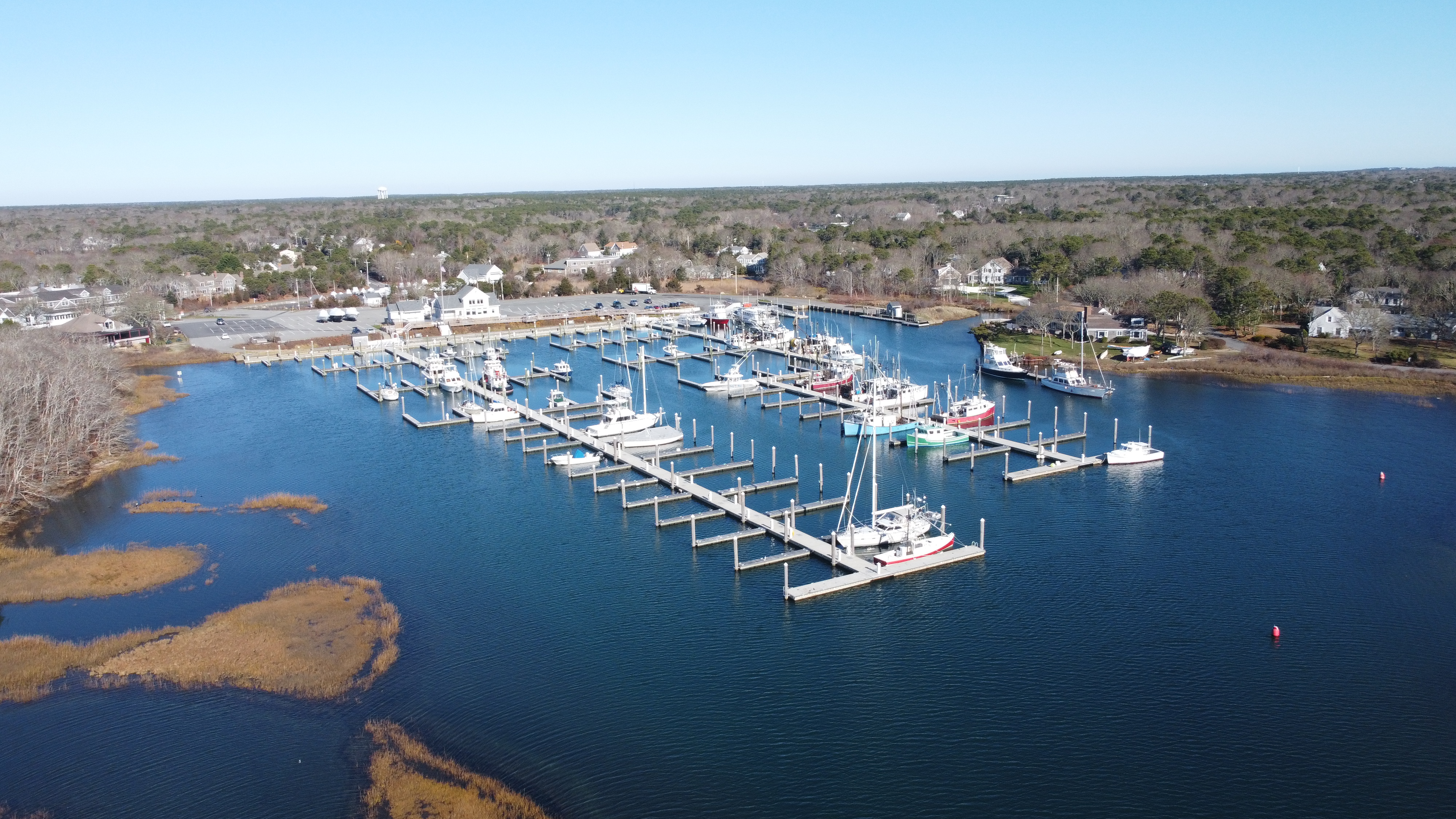 harwich fishing charters