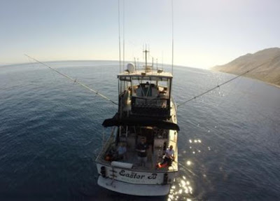 San Clemente Charters