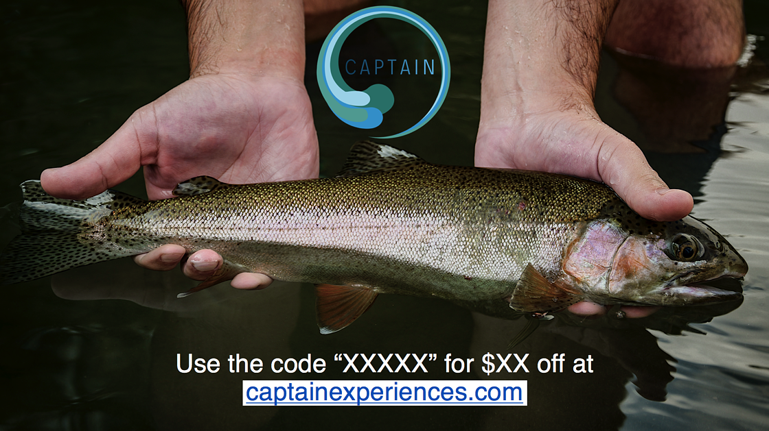 captain experiences code