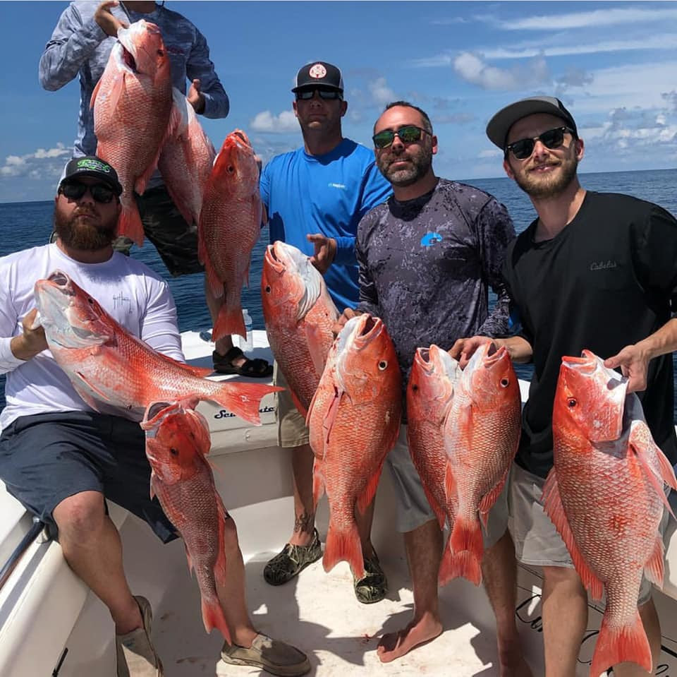 red snapper