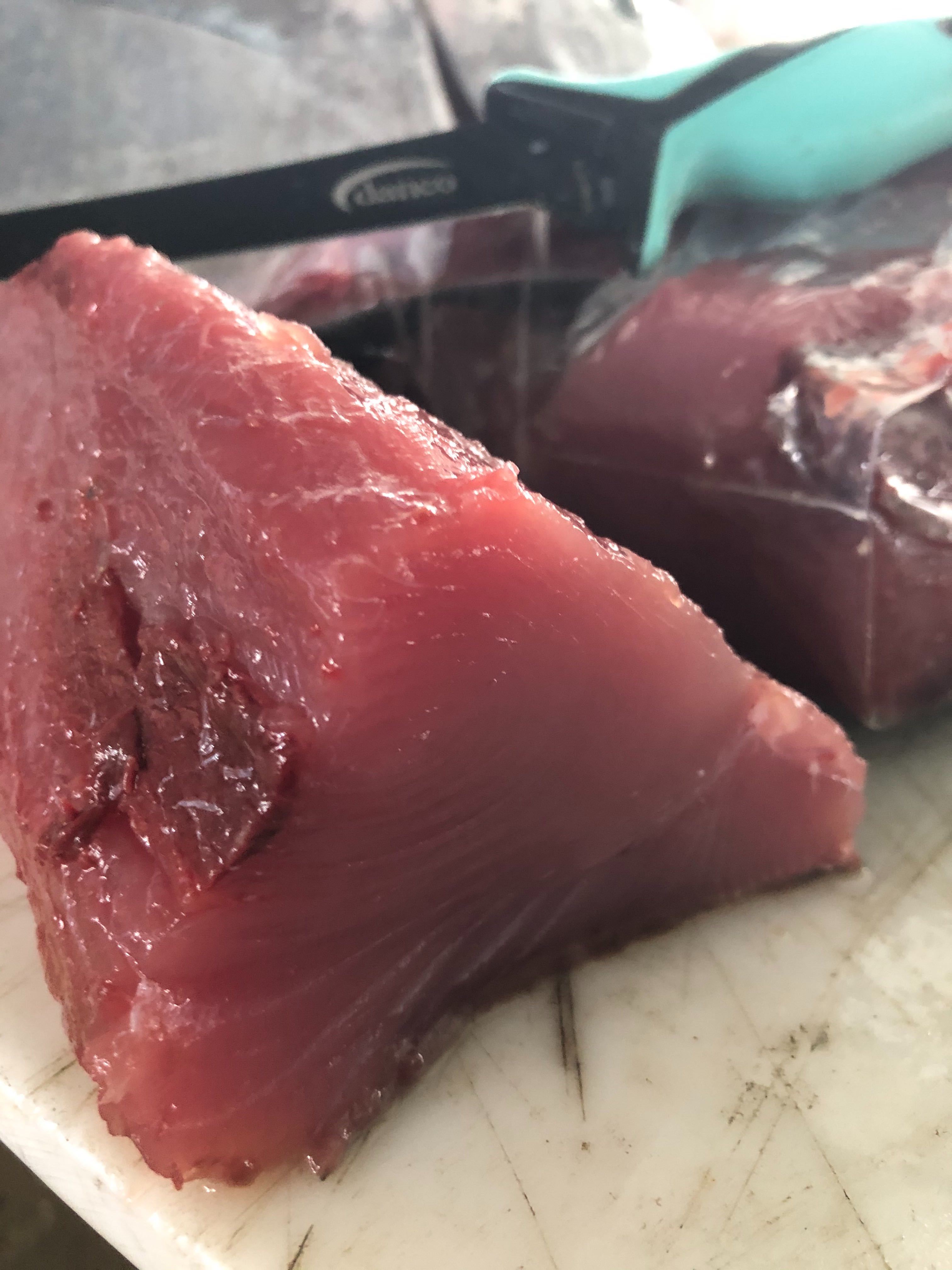 galveston tuna fishing charters