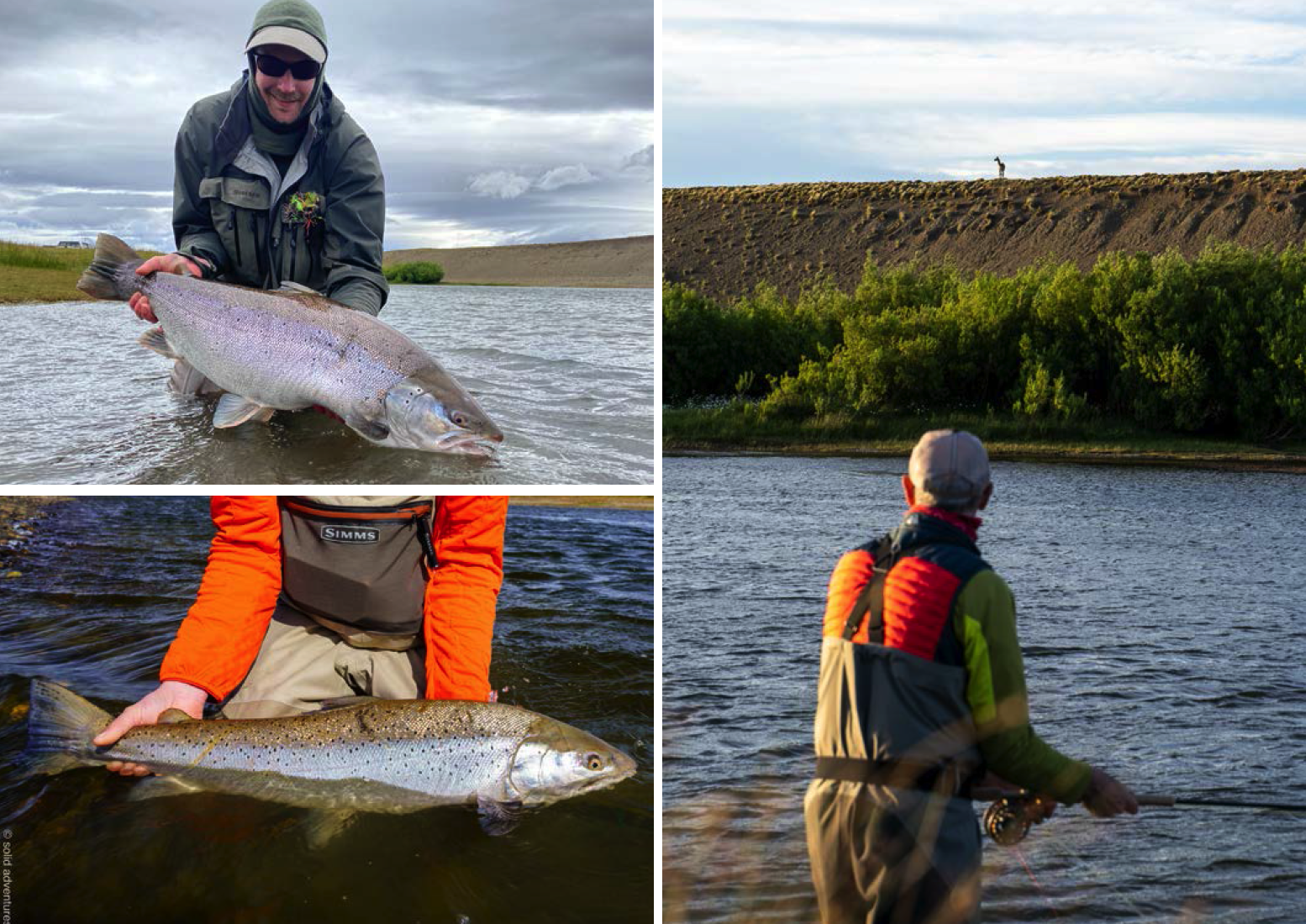 las buitreras sea trout