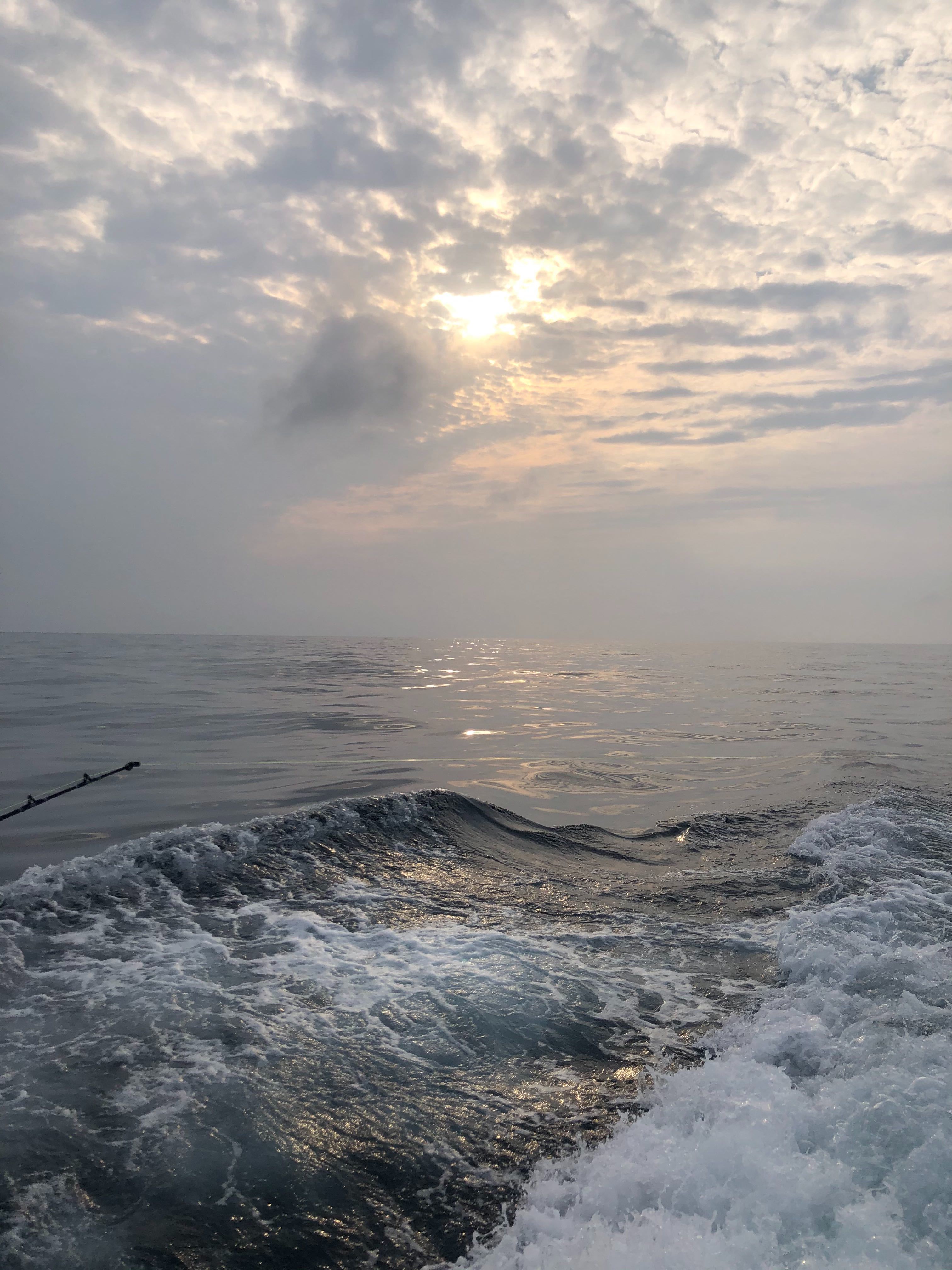 Offshore Fishing Trips Galveston TX