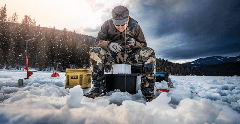 What Happens to Fish When a Lake Freezes?