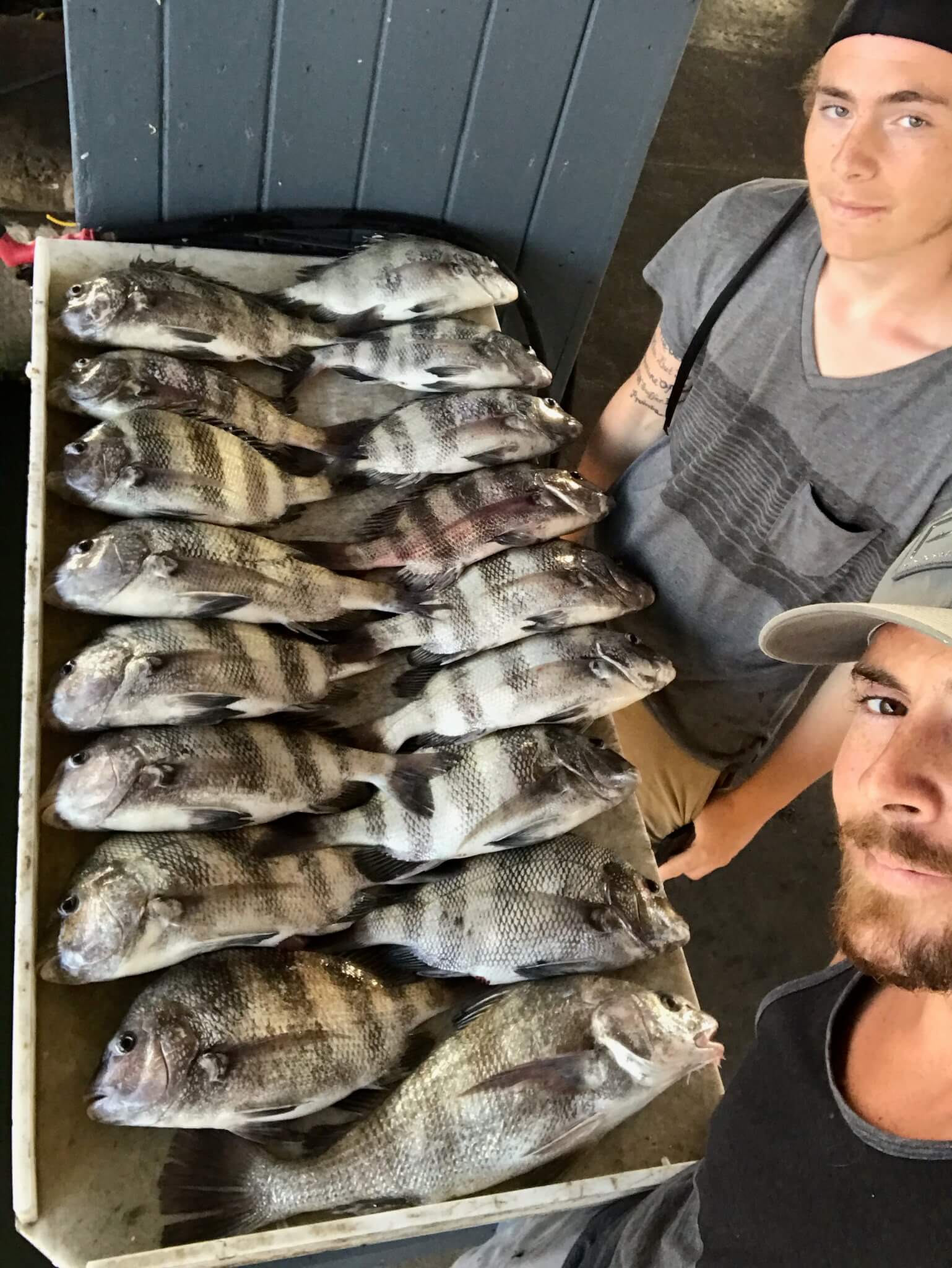 galveston fishing trips