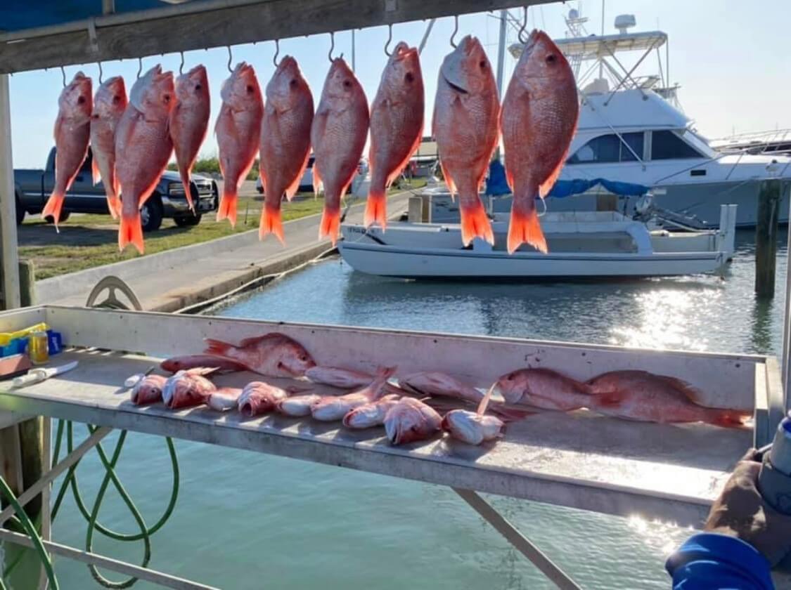 south padre island fishing trip