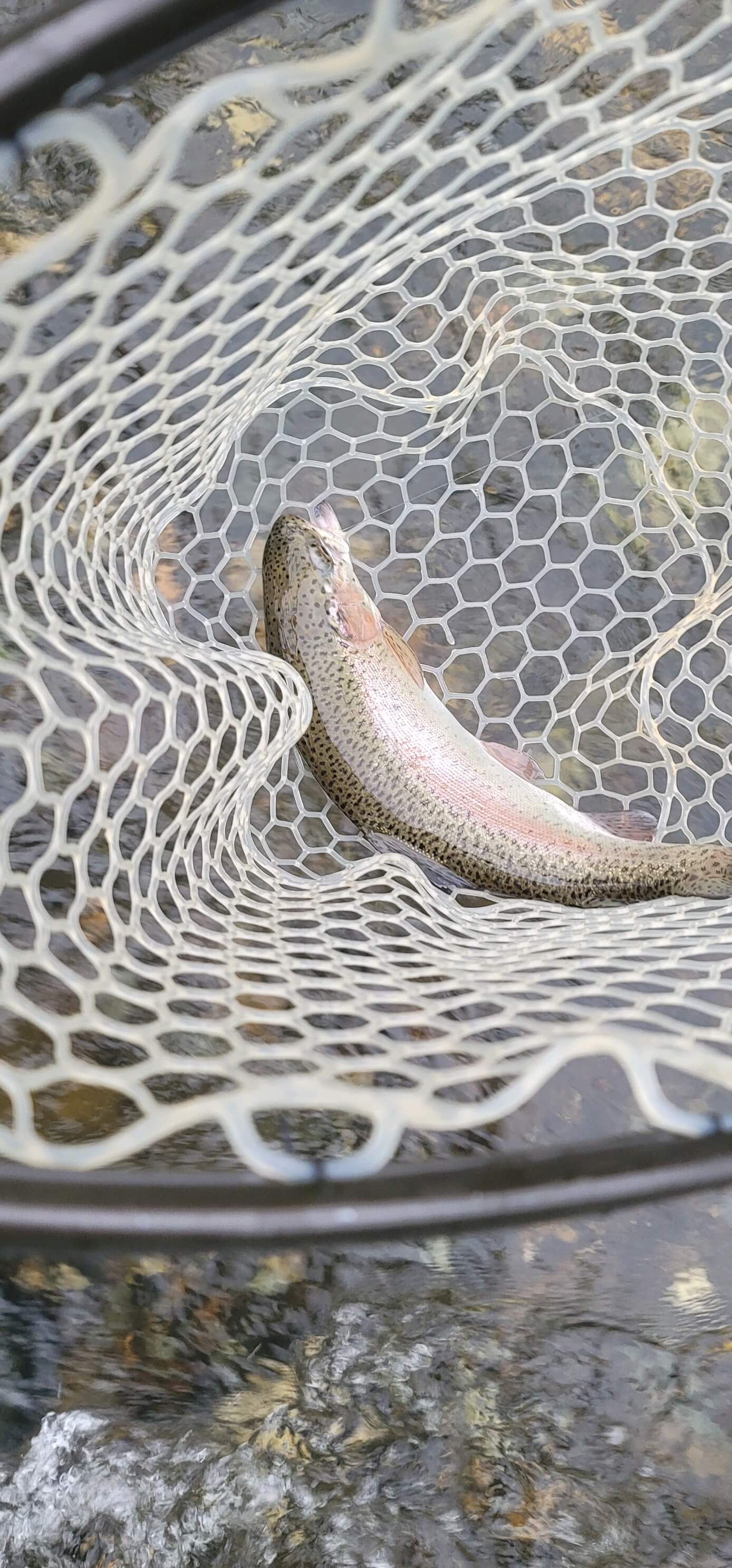 broken bow fishing trip