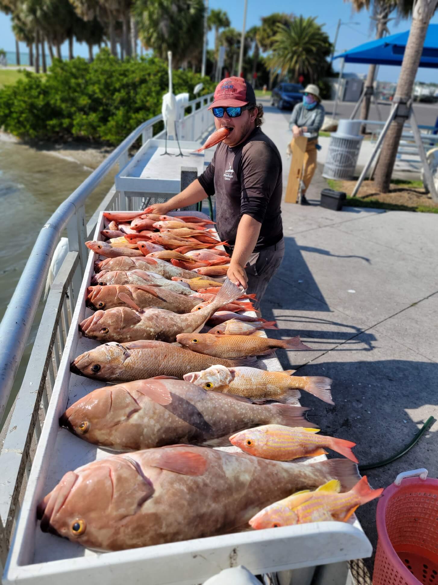 clearwater fishing trip