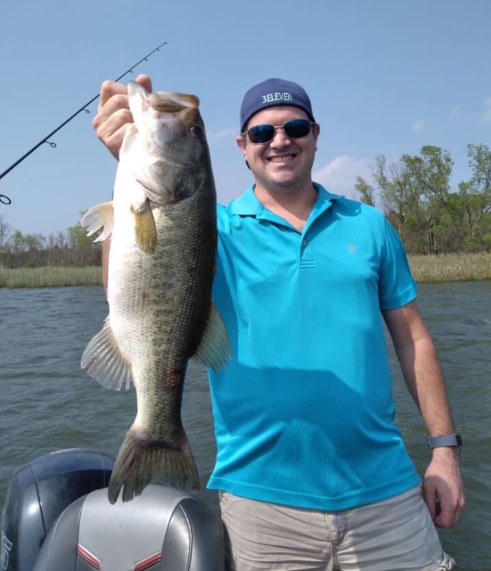 Bass2