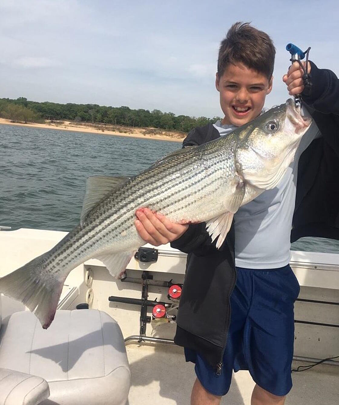Bass