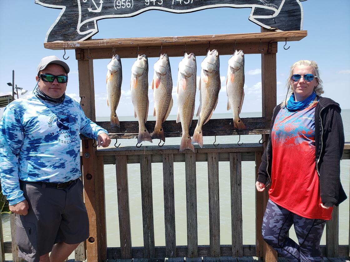 redfish showcase