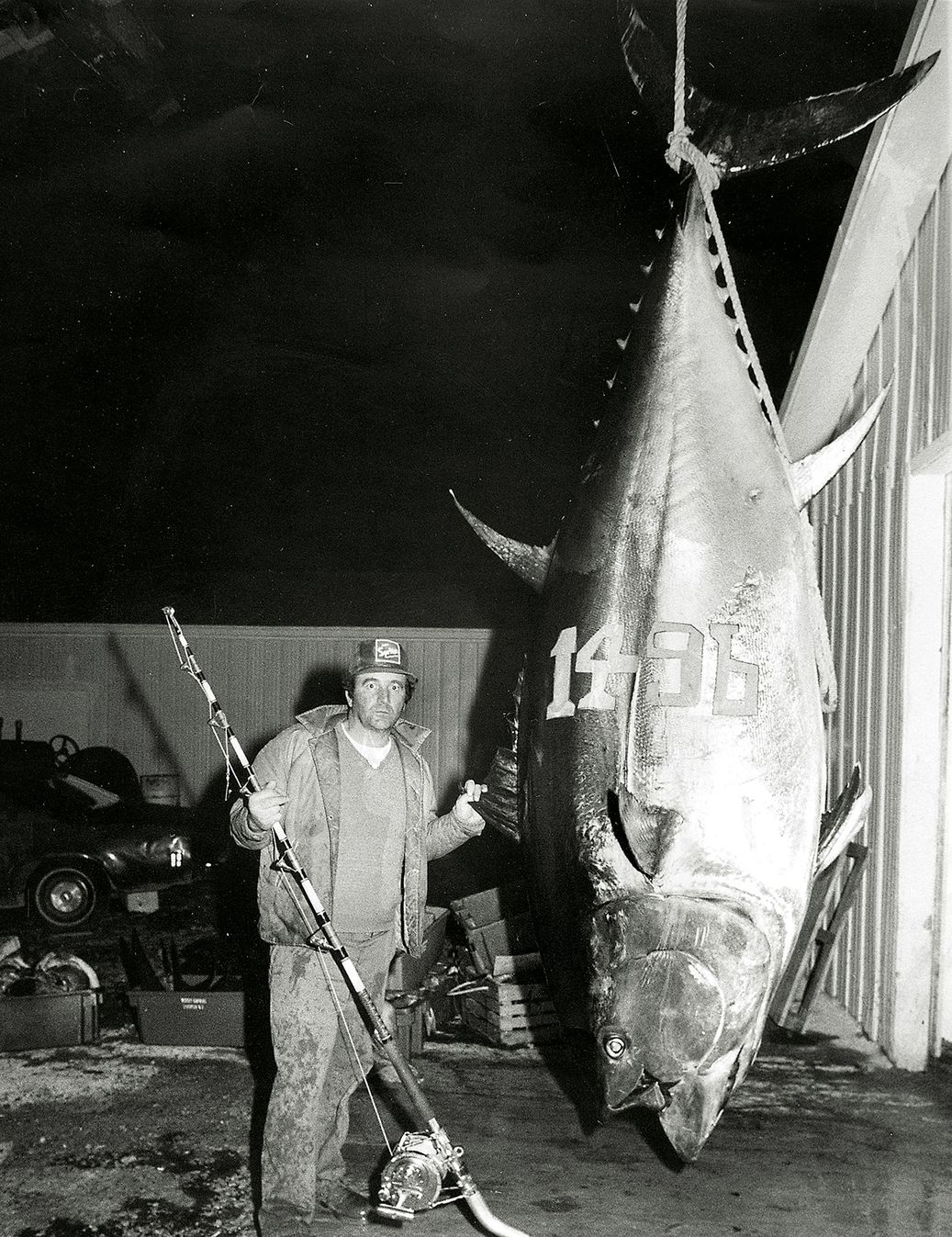A Fisherman's Guide to Tuna Fishing