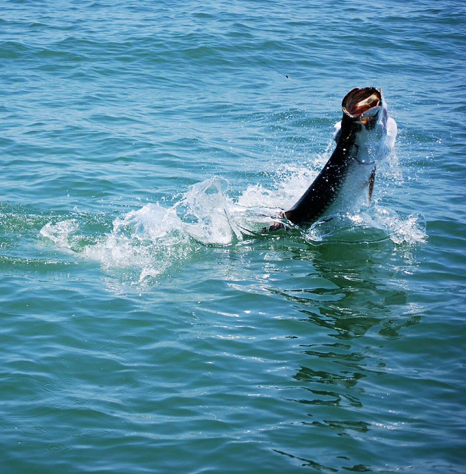 galveston fishing guides