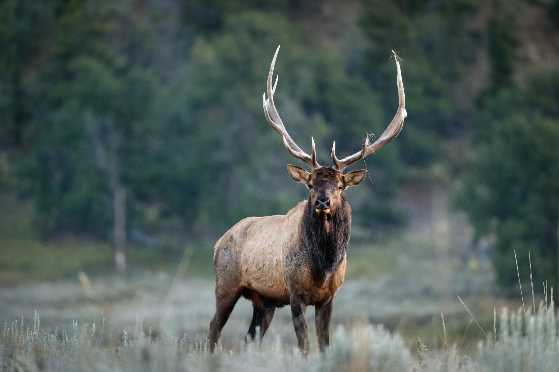 new mexico fly fishing trips