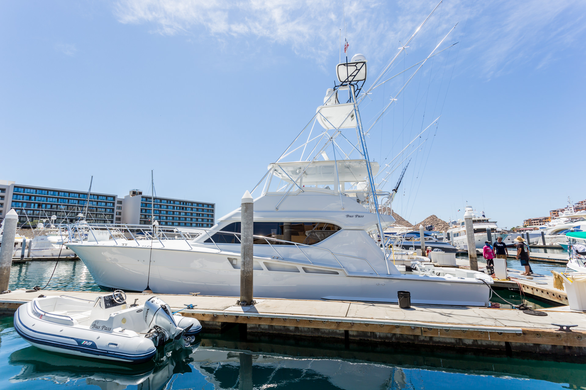 cabo deep sea fishing charters