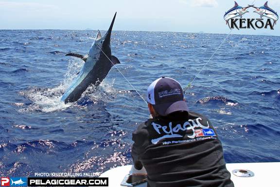 florida tarpon fishing guides