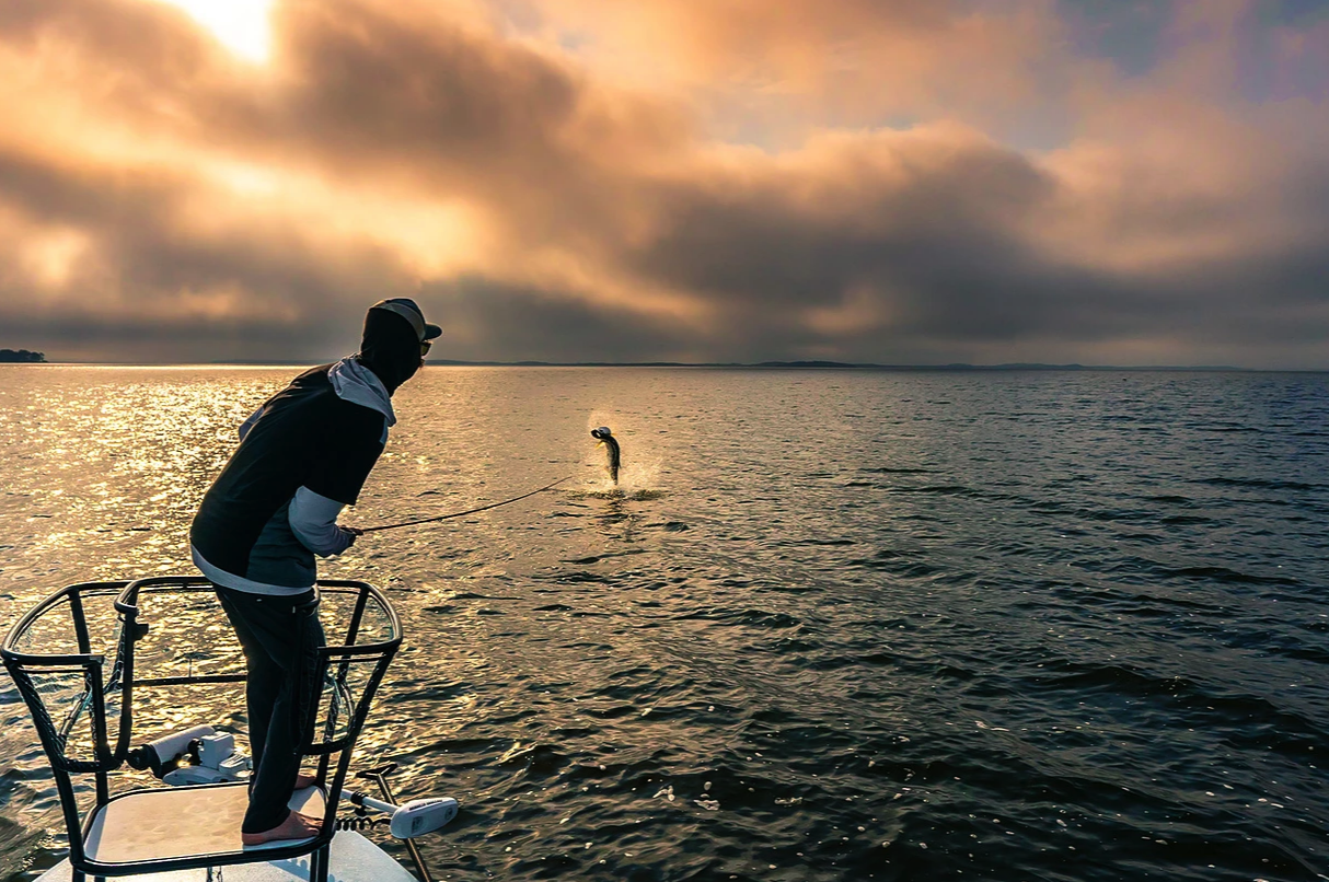 jupiter fishing charters