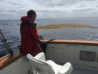 San Diego fishing trips